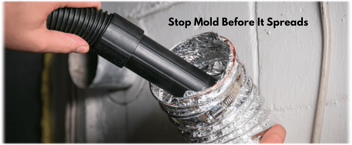 Air Duct Mold Removal in Queen Creek
